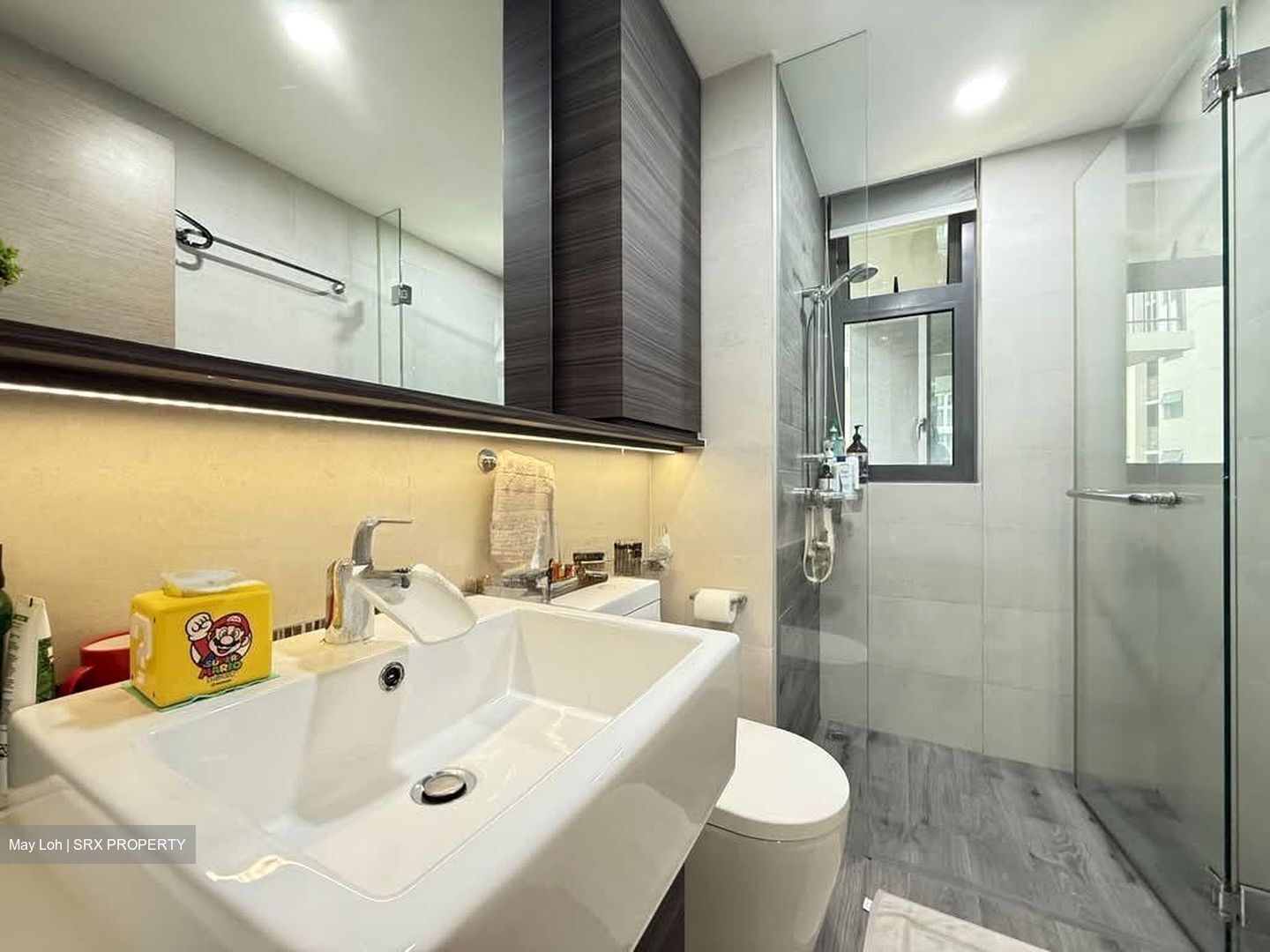 The Terrace (D19), Condominium #581233511